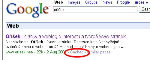 Náhled výsledků z Google – funkce Cached